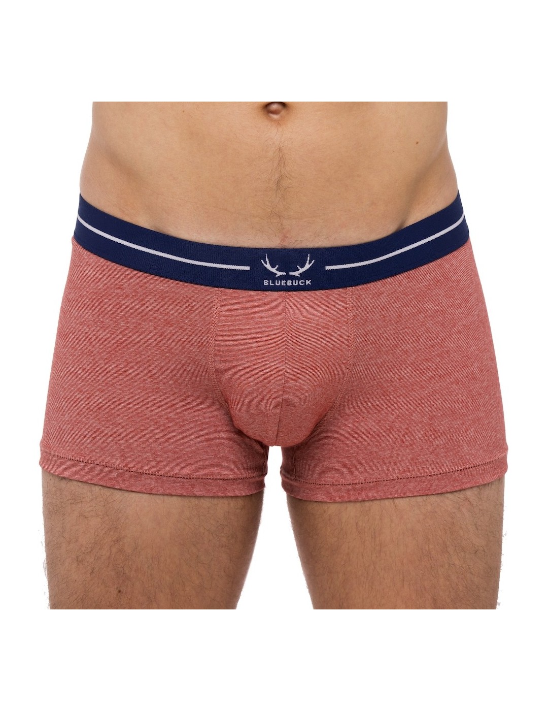 Bluebuck - Brick Trunks