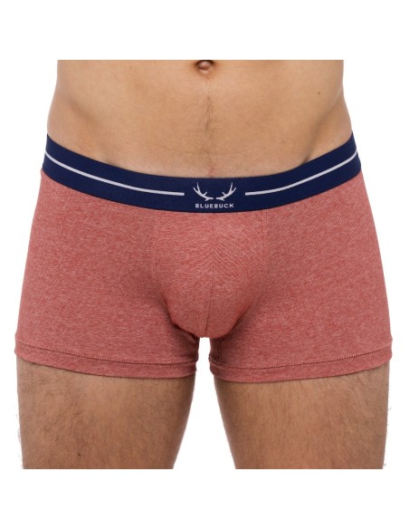 Bluebuck - Brick Trunks