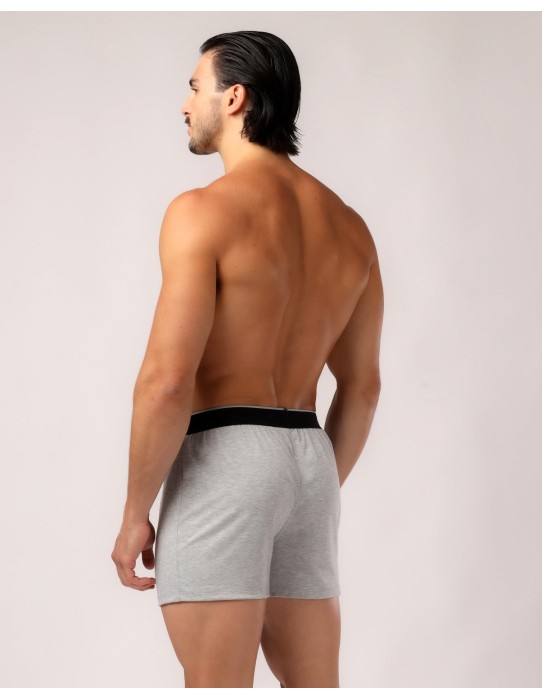 Adam Smith - Classic Boxers - Grey 2