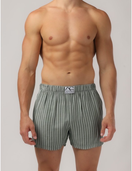 Adam Smith - Side Pocket Relax Shorts - Green-Stripe