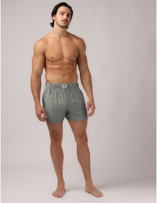 Adam Smith - Side Pocket Relax Shorts - Green-Stripe 2