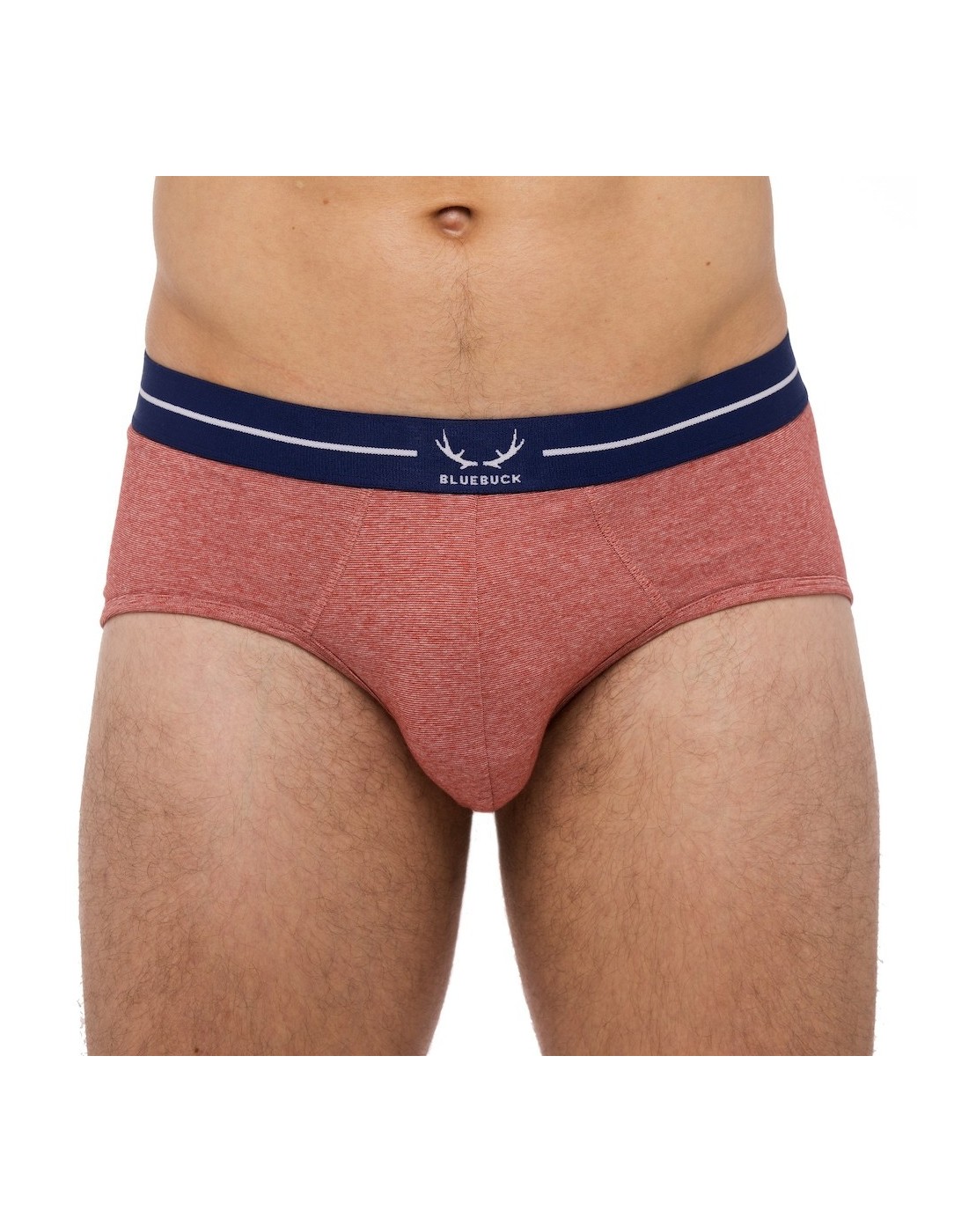 Bluebuck - Brick Briefs