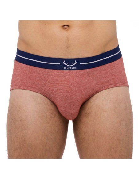 Bluebuck - Brick Briefs