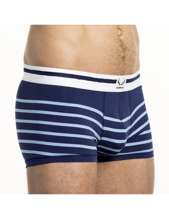 Bluebuck - Blue Trunks With Light Blue Stripes 2