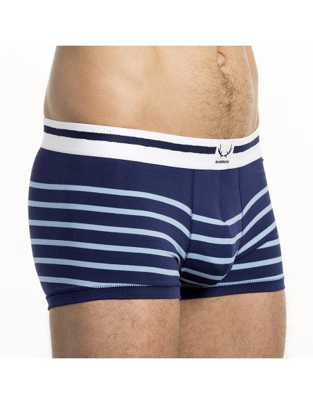 Bluebuck - Blue Trunks With Light Blue Stripes