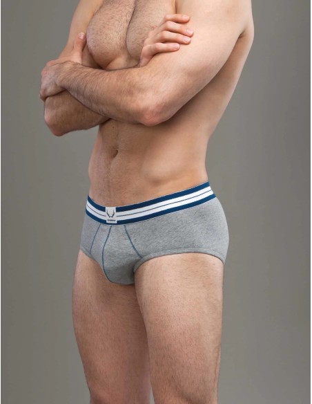 Bluebuck - Grey Briefs