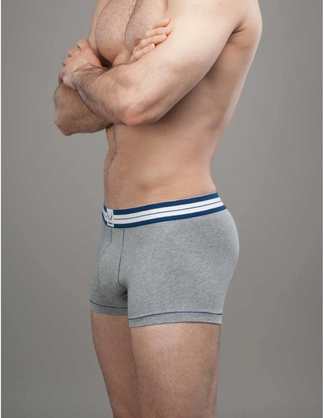 Bluebuck - Grey Trunks