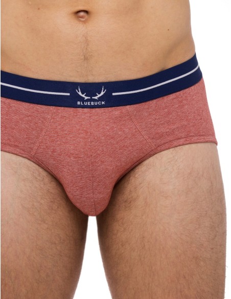 Bluebuck - Brick Briefs