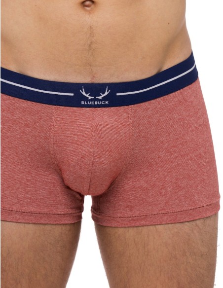 Bluebuck - Brick Trunks