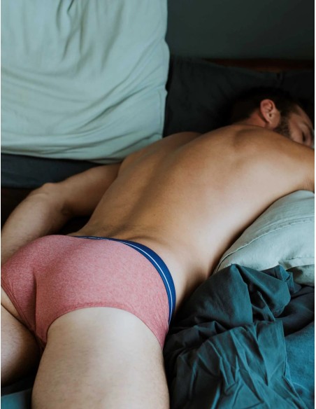 Bluebuck - Brick Briefs