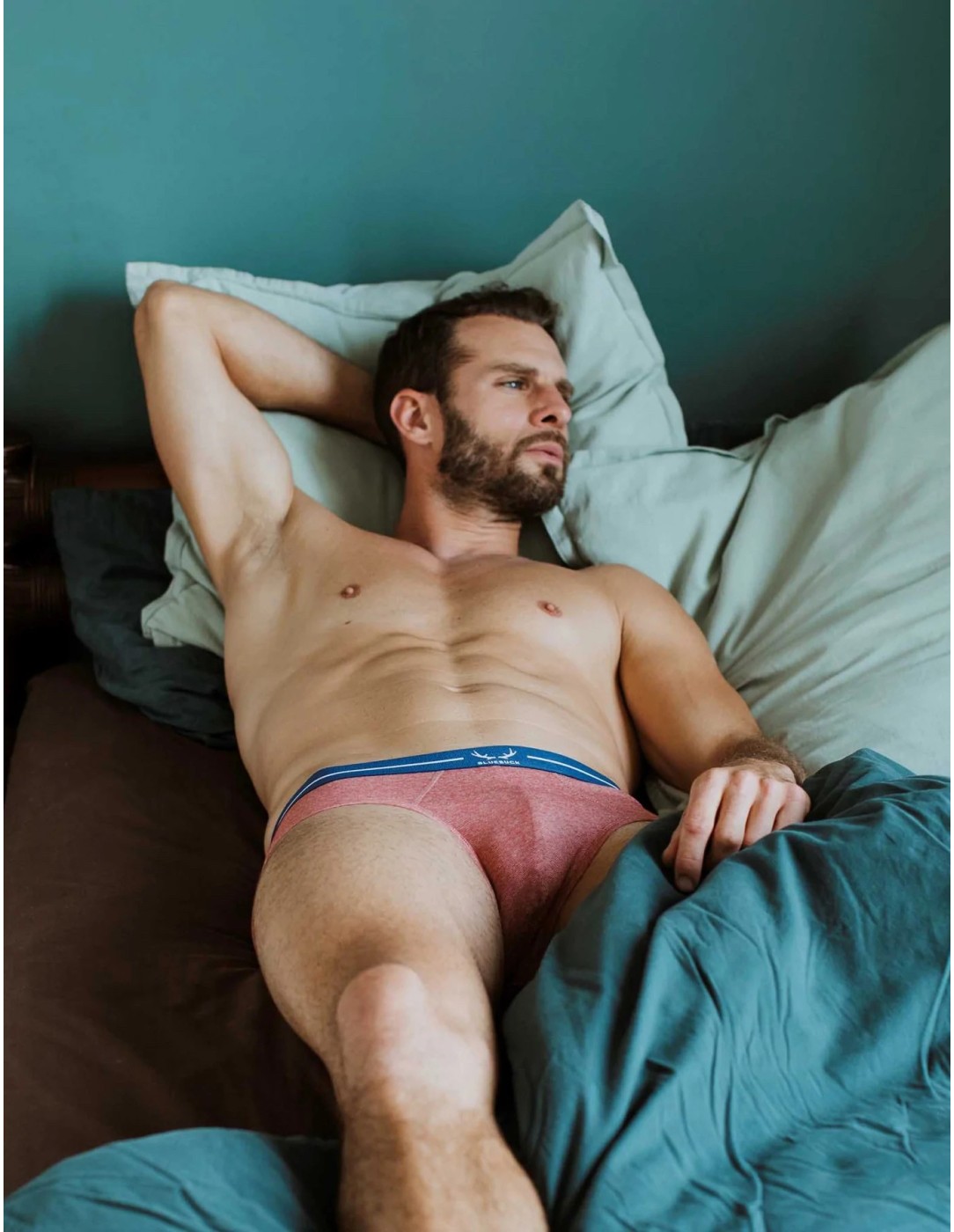 Bluebuck - Brick Briefs