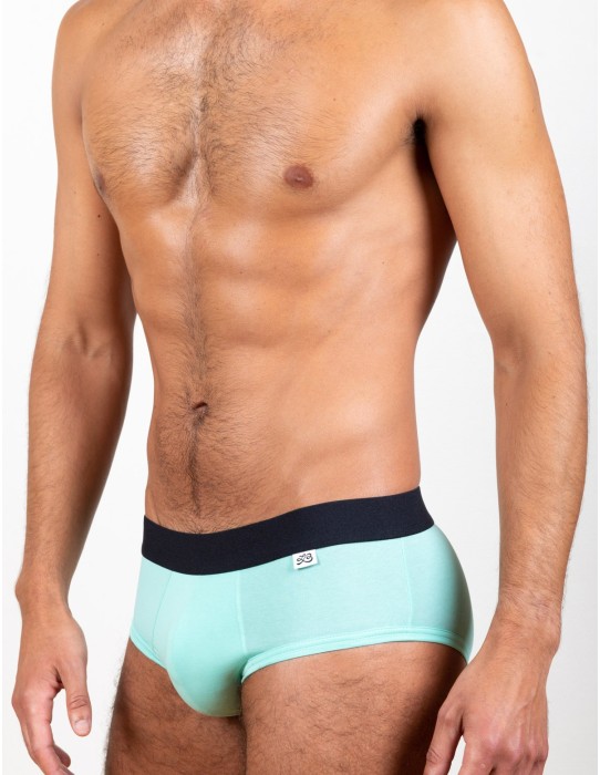 LeBeauTom - Greendr Briefs 2