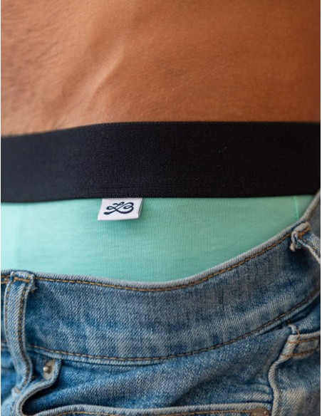 LeBeauTom - Greendr Briefs