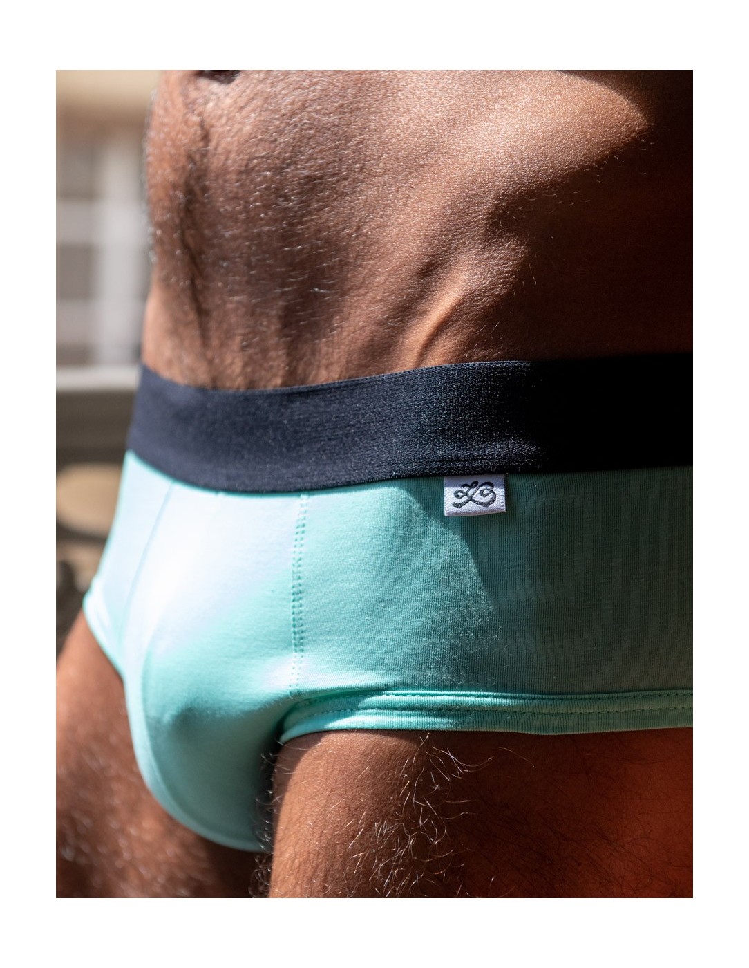LeBeauTom - Greendr Briefs