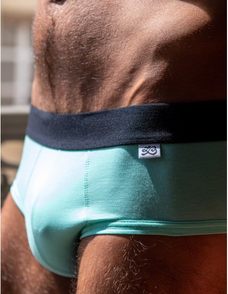 LeBeauTom - Greendr Briefs