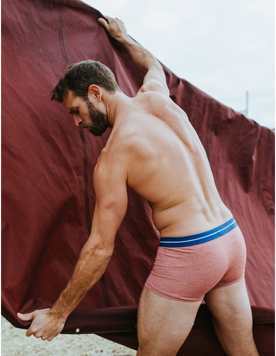 Bluebuck - Brick Trunks 2