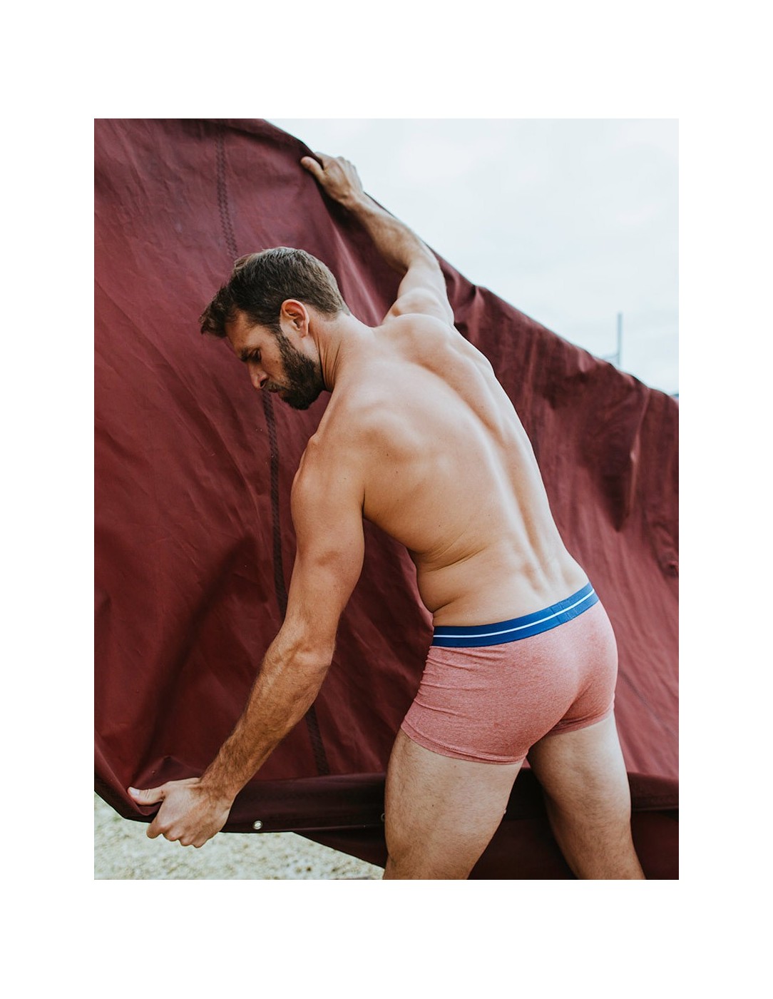 Bluebuck - Brick Trunks