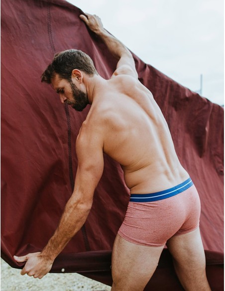 Bluebuck - Brick Trunks