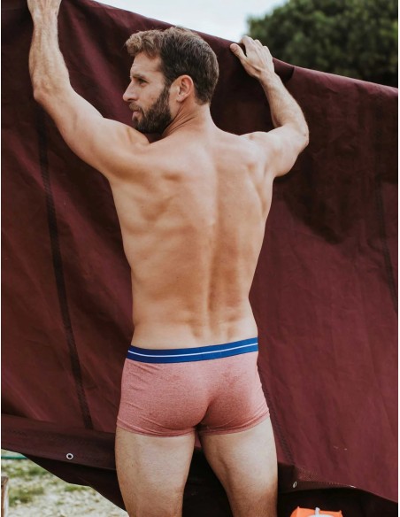 Bluebuck - Brick Trunks