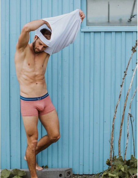 Bluebuck - Brick Trunks