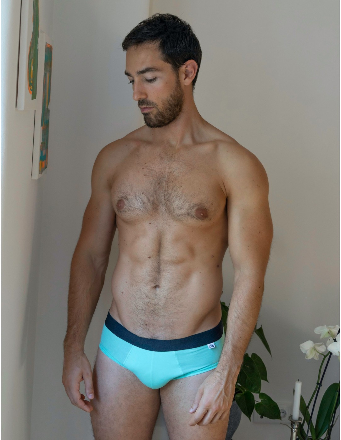 LeBeauTom - Greendr Briefs
