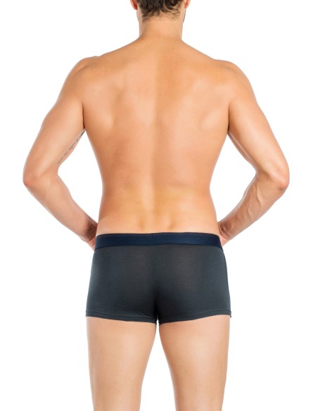 Obviously Apparel - FreeMan Trunks - Ash