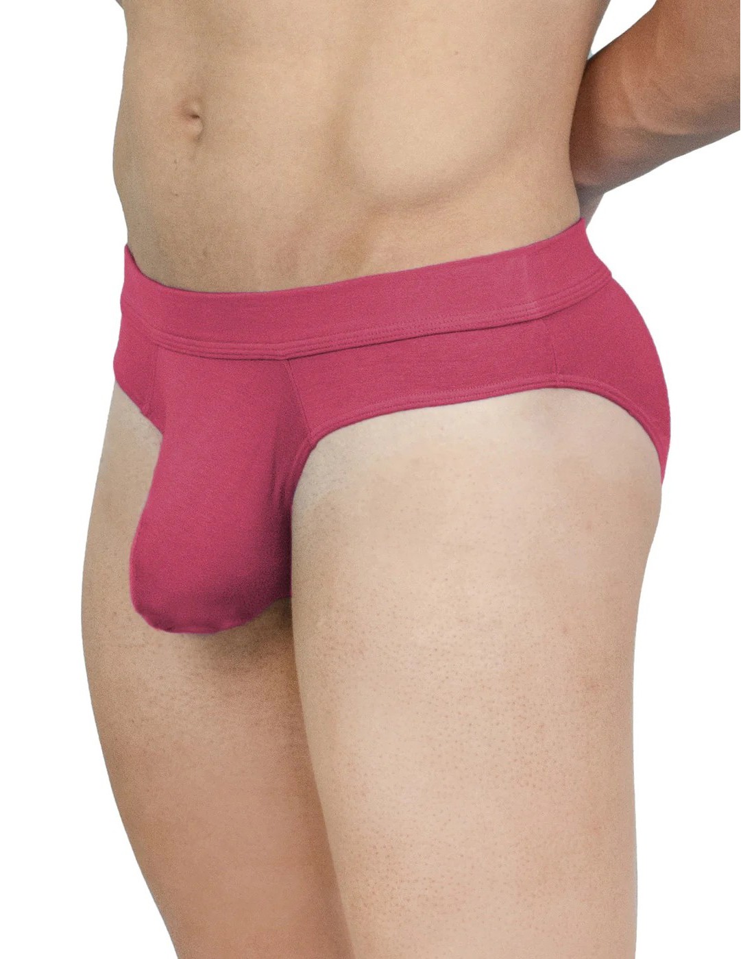 Obviously Apparel - EliteMan Hipster Briefs -...
