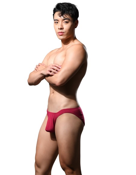 Andrew Christian - No-Show Bamboo Briefs - Burgundy