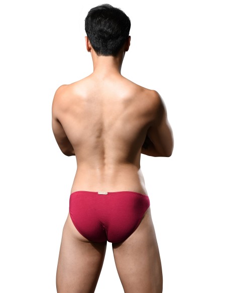 Andrew Christian - No-Show Bamboo Briefs - Burgundy