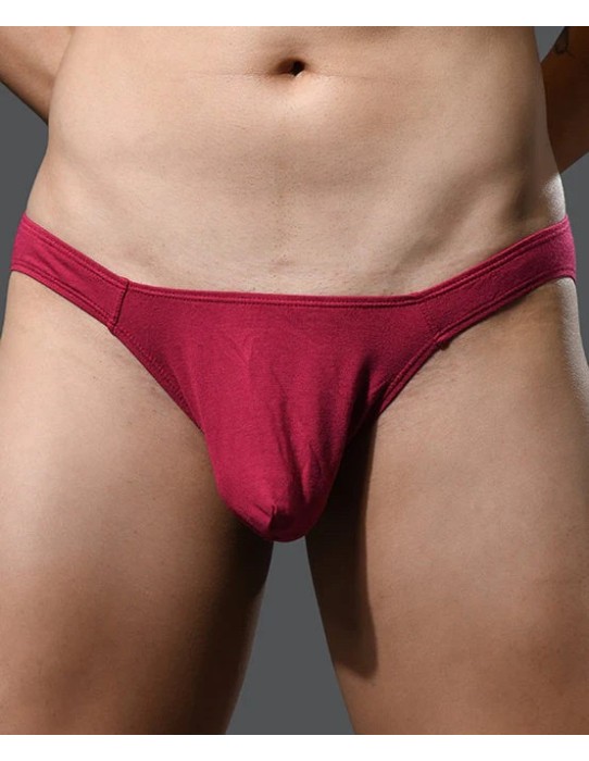 Andrew Christian - No-Show Bamboo Briefs - Burgundy 2