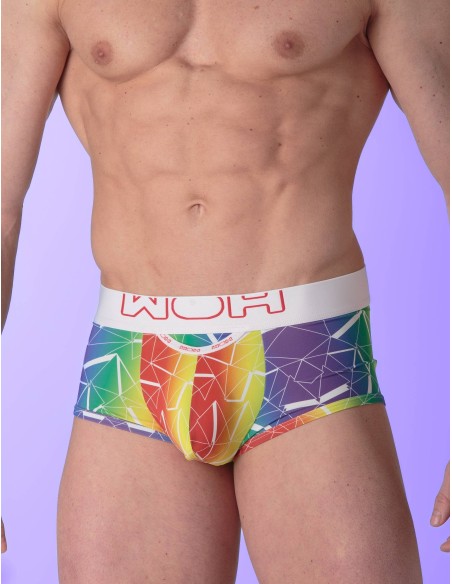 WOH - Sexy Fun Pride Trunks - Triangles