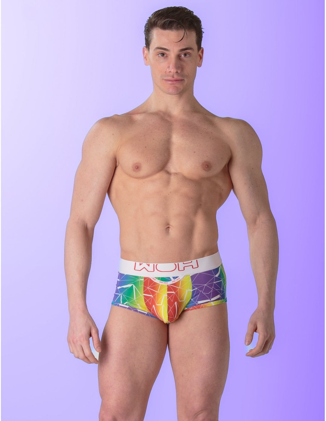 WOH - Sexy Fun Pride Trunks - Triangles