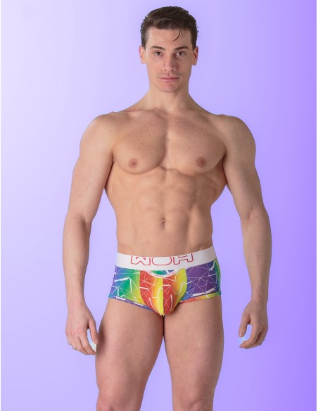 WOH - Sexy Fun Pride Trunks - Triangles