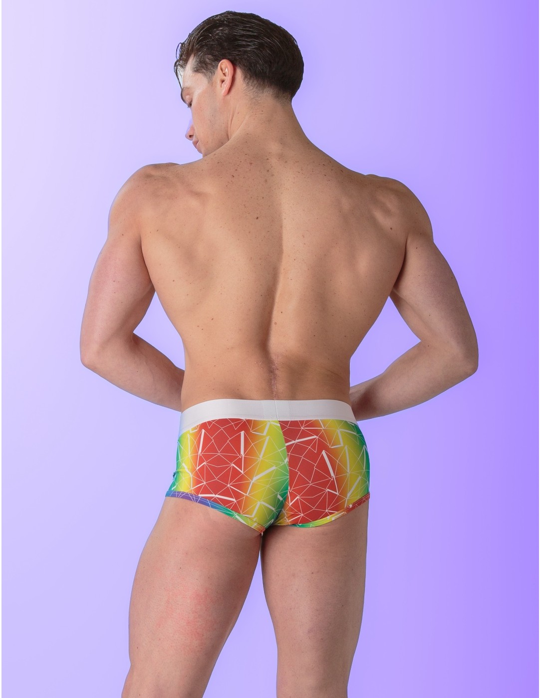 WOH - Sexy Fun Pride Trunks - Triangles