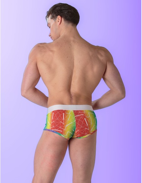 WOH - Sexy Fun Pride Trunks - Triangles