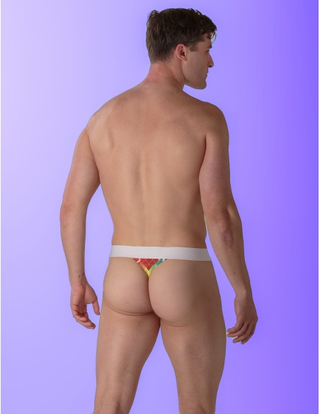 WOH - Sexy Fun Pride Thong - Triangles