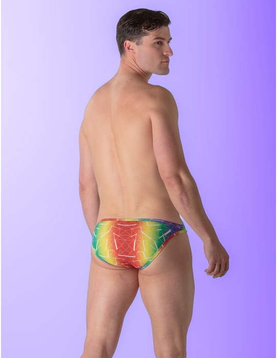 WOH - Sexy Fun Pride Micro Briefs - Triangles 2