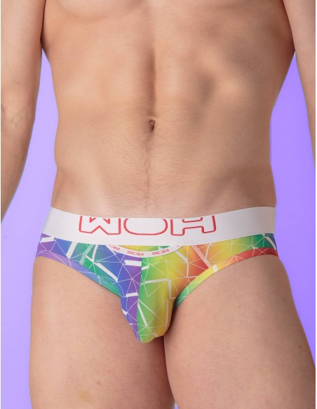 WOH - Sexy Fun Pride Briefs - Triangles