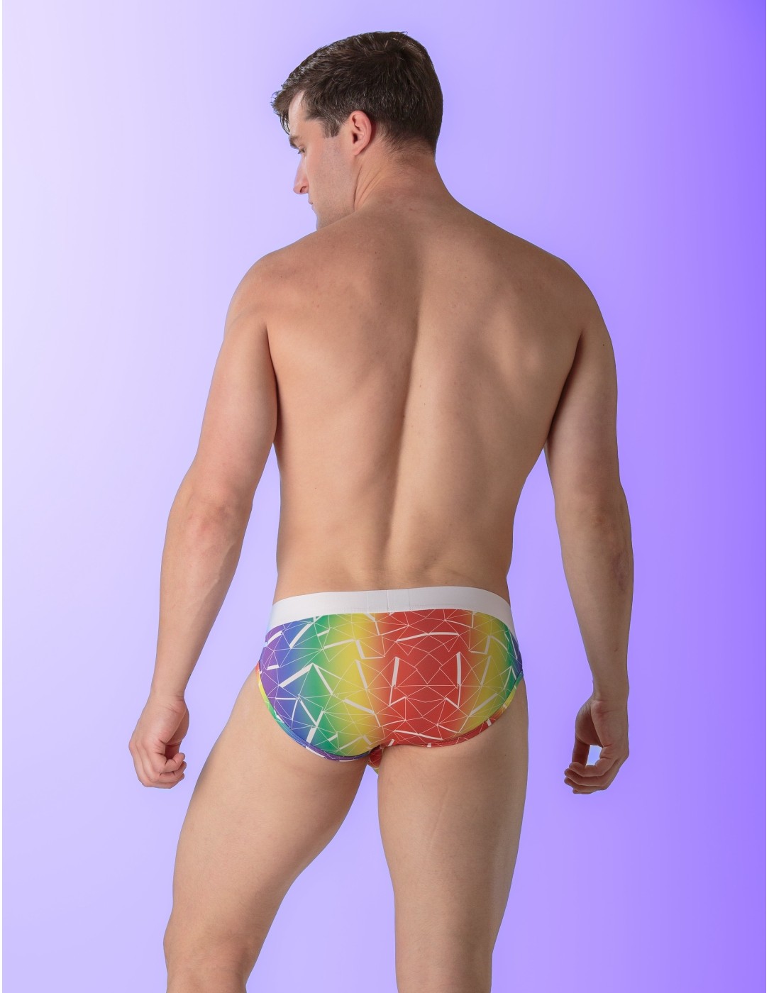 WOH - Sexy Fun Pride Briefs - Triangles