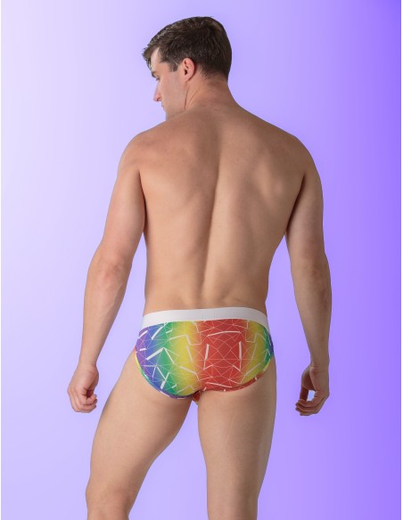 WOH - Sexy Fun Pride Briefs - Triangles