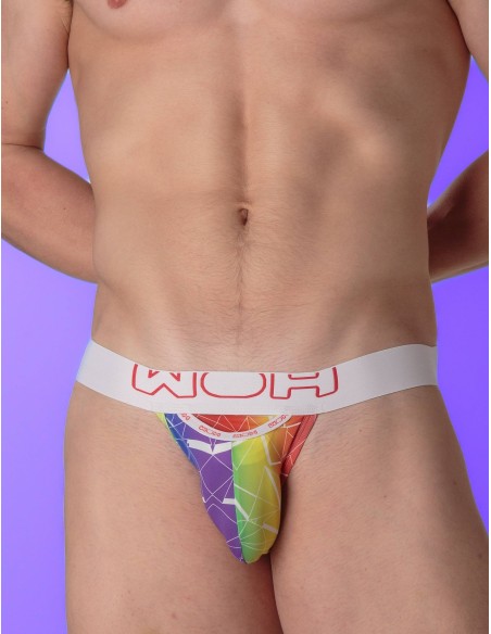 WOH - Sexy Fun Pride Tanga Briefs - Triangles