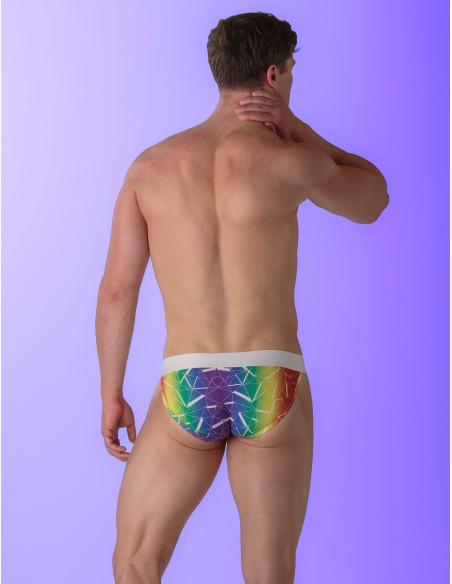 WOH - Sexy Fun Pride Tanga Briefs - Triangles