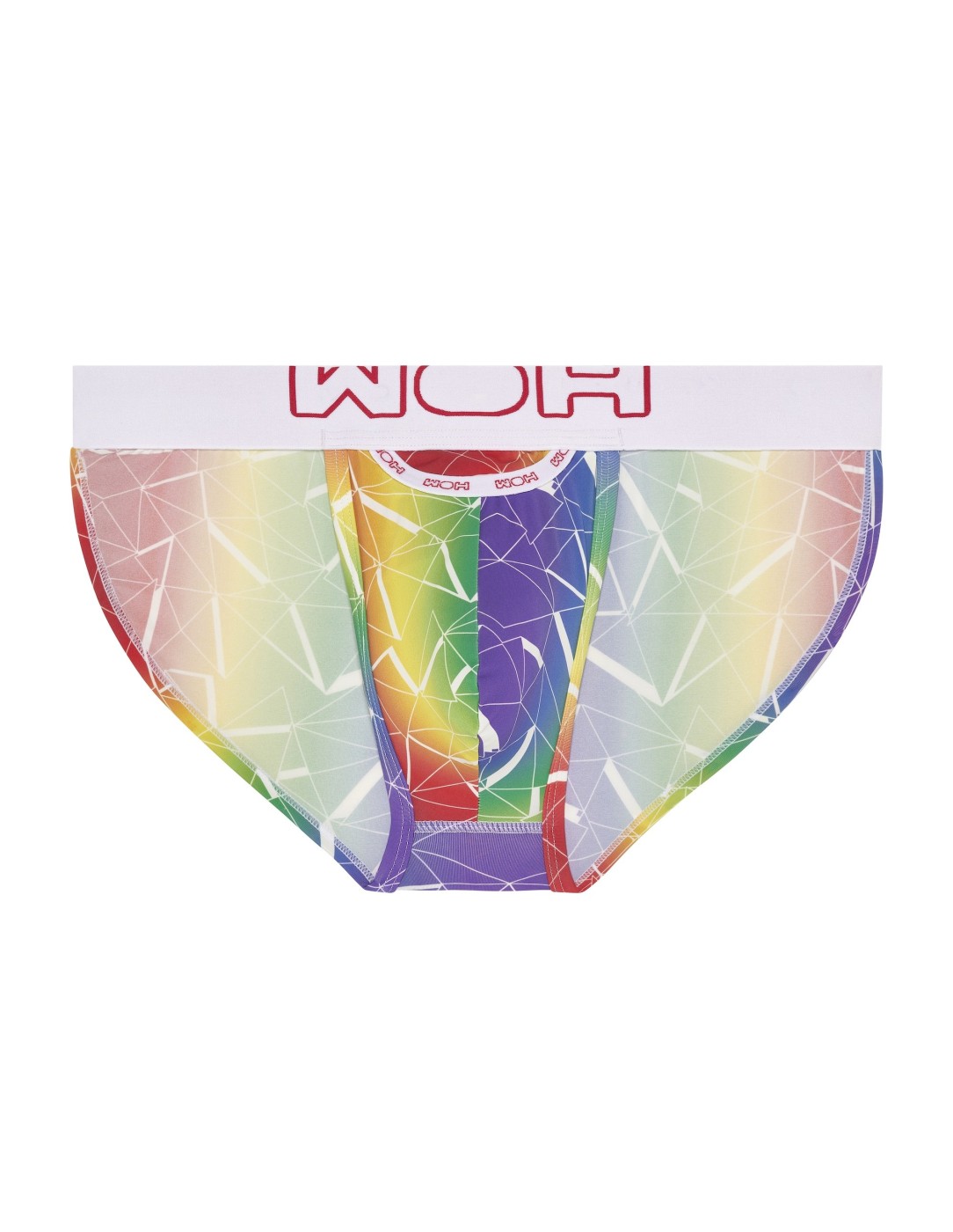 WOH - Sexy Fun Pride Tanga Briefs - Triangles