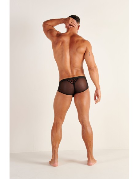 WOH - Personal Allure Zebre Briefs - Black
