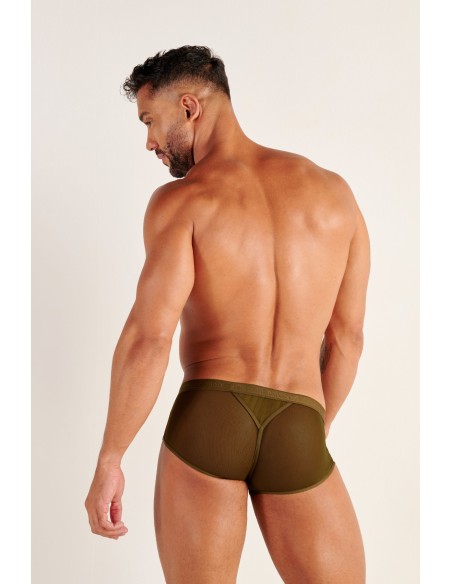 WOH - Personal Allure Stripe Briefs - Olive
