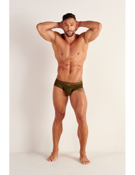 WOH - Personal Allure Stripe Briefs - Olive