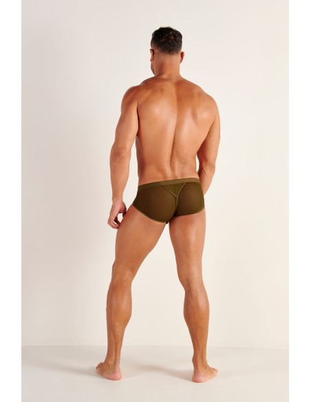 WOH - Personal Allure Stripe Briefs - Olive