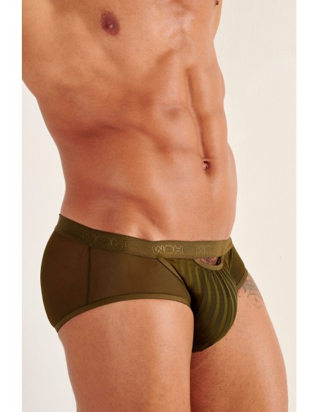 WOH - Personal Allure Stripe Briefs - Olive