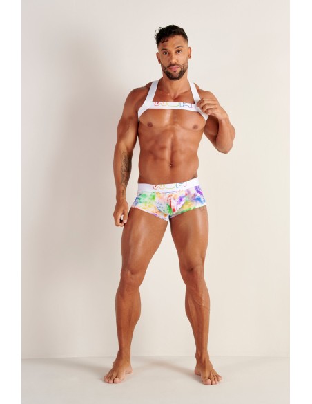 WOH - Sexy Fun Pride Harness - Tie Dye