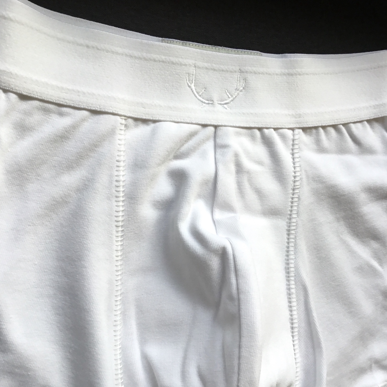 Triple White Briefs and Trunks by Bluebuck | Men and underwear